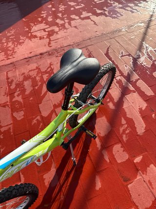 Bicicleta infantil 20”