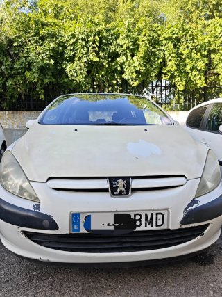 Peugeot 307 2001