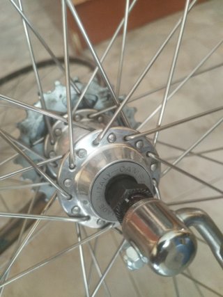 Llantas Traseras Bicicleta Carretera campagnolo