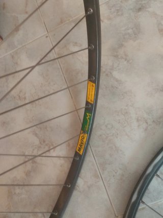 Llantas Traseras Bicicleta Carretera campagnolo