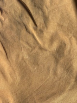 Short Carhartt da lavoro in cammello taglia grande W36