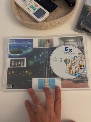 Sword Art Online Extra Edition DVD