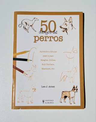 Pack de 2 Libros de Dibujo