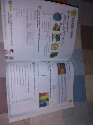 Libro Kid's Box Bee Generation Home booklet 4