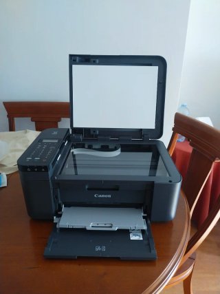 Impresora Canon Gris TR4755i
