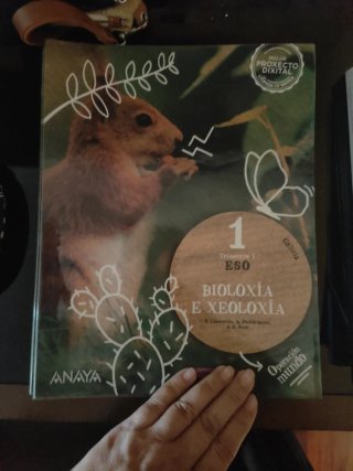 Lengua Castellana y Literatura . 1 Secundaria. ...