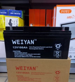 Batteria WEIYAN 12V 100Ah Piombo-Acido