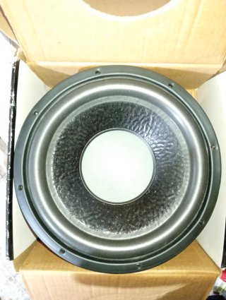 Altavoz Subwoofer Negro/Gris 12 Pulgadas
