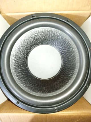 Altavoz Subwoofer Negro/Gris 12 Pulgadas