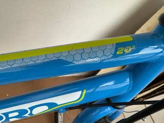 Bicicleta Infantil B-Pro 20 Pulgadas