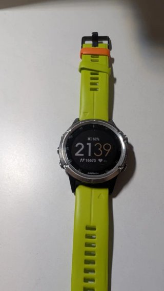 Reloj Garmin Fenix 5 Plus GPS Acero Inox