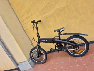 Bici elettrica Terfox 250W pedalata assistita