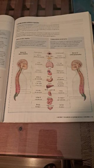Proyecto: FanFest - Biología y Geología 3 ESO