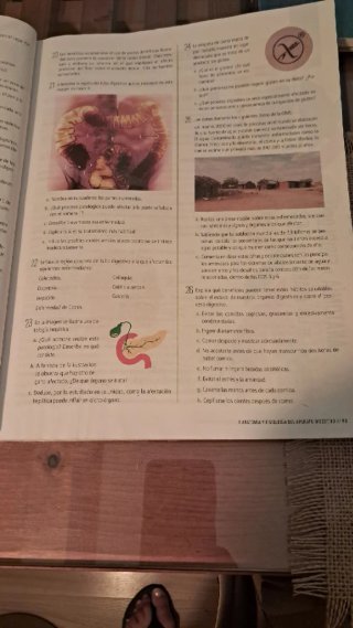 Proyecto: FanFest - Biología y Geología 3 ESO