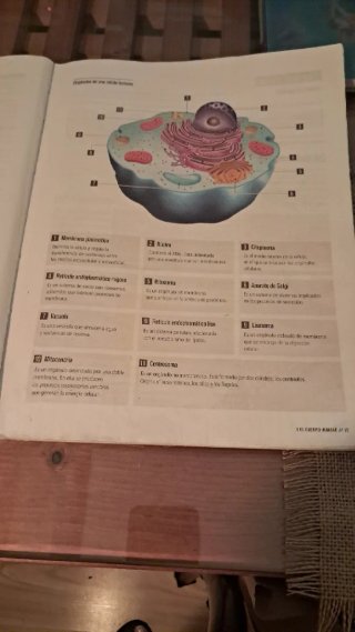 Proyecto: FanFest - Biología y Geología 3 ESO