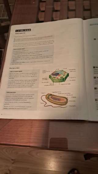Proyecto: FanFest - Biología y Geología 3 ESO