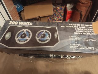 Altavoz para coche 300W