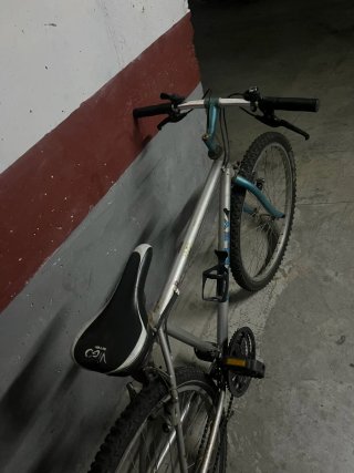 Bicicleta de montaña plateada