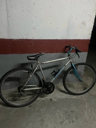 Bicicleta de montaña plateada