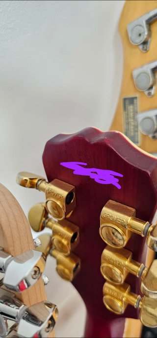 Epiphone Les Paul Prophecy Custom Plus GX