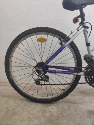 Bicicleta Orbea Paradise Tricolor
