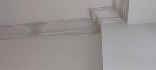 Escayolista profesional en Madrid