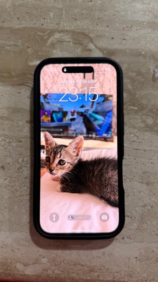 iPhone 16 256GB Negro