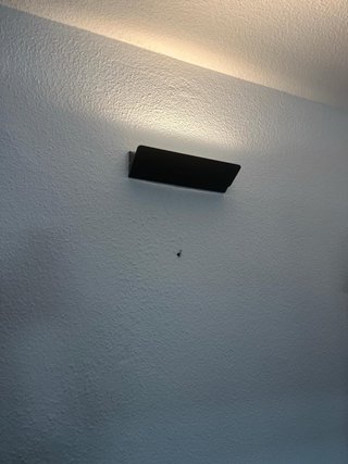 Aplique pared luz ambiente directa e indirecta