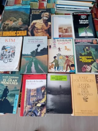 Lote de 48 novelas y libros antiguos