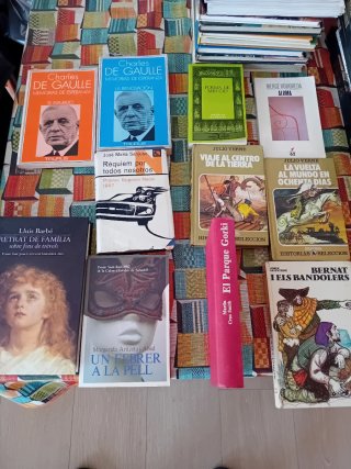 Lote de 48 novelas y libros antiguos