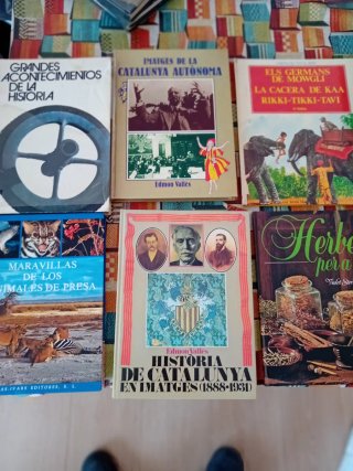 Lote de 48 novelas y libros antiguos