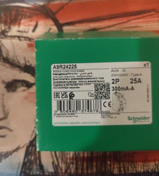 Diferencial 2p 25 en 300 A9R24225