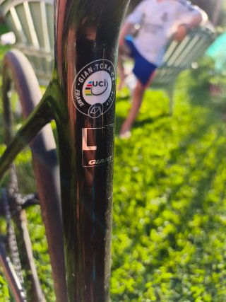 Bici Gravel CX Giant TCX