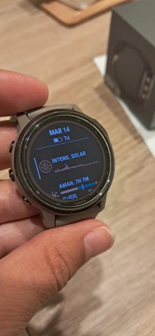 Garmin Fenix 6S Pro Solar Gris