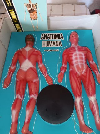Juego Anatomía Humana