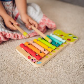 NUEVO! Xilófono Cocodrilo Infantil