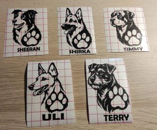 Vinilos Personalizados para Mascotas
