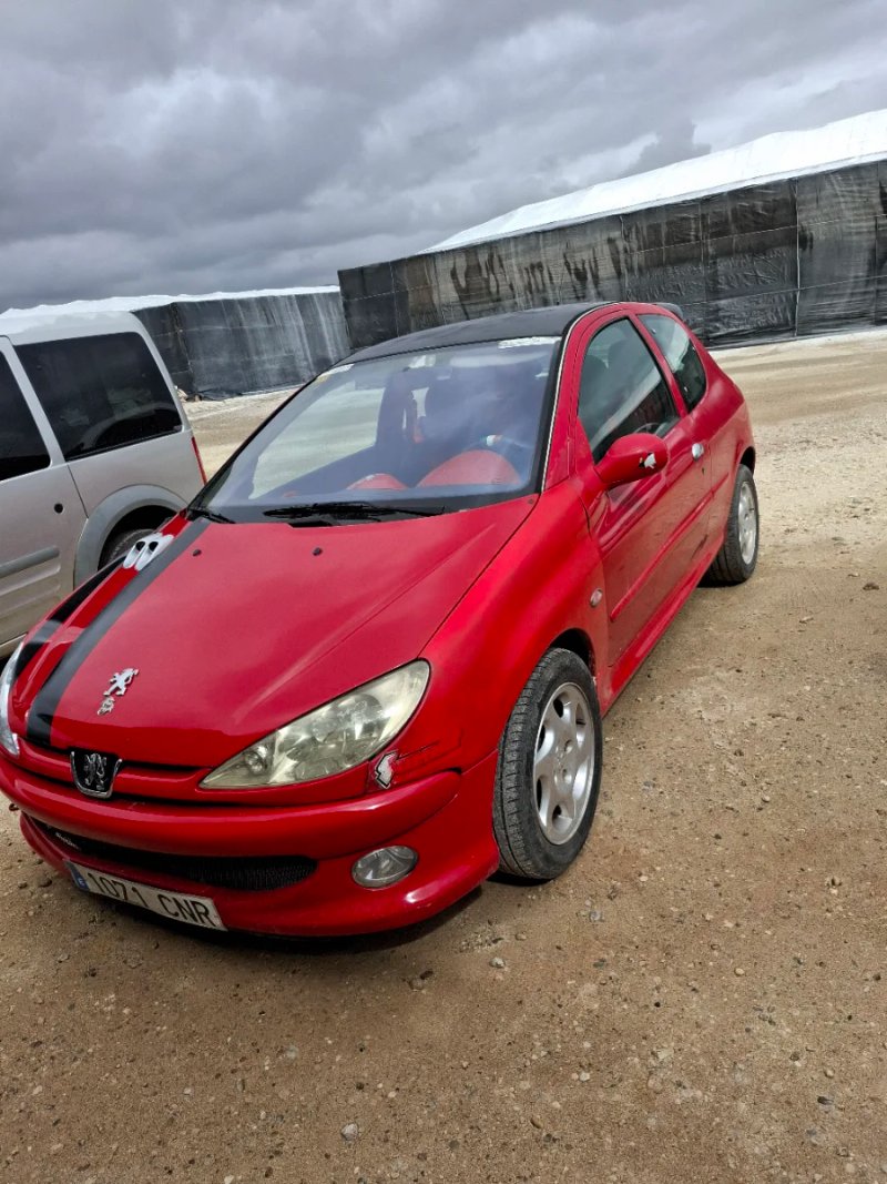Peugeot 206 2003 - foto 1