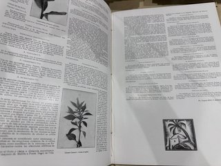 Revista África completa 1933