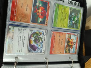 Lote 50 Cartas Pokémon Reverse & Holo Sin Repetir