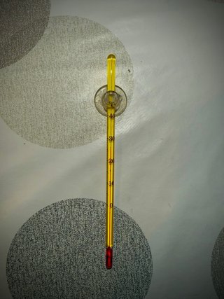 Pecera completa