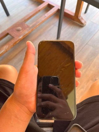 iPhone 13 Pro Gris Plata
