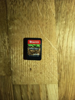 Nintendo Switch Minecraft Gioco