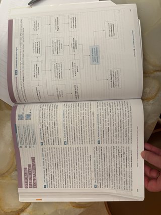 L’orizzonte umano volume C