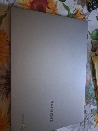 Samsung Computer Portatile