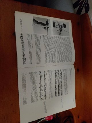 Libro El Violín Ami Flammer Gilles Tordjman