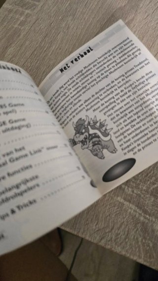 Manual Super Mario Bros Deluxe Game Boy Color