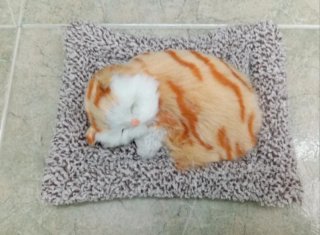 Pareja gatos sin y con sonido: Maúlla  (NUEVOS)