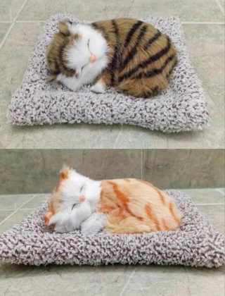 Pareja gatos sin y con sonido: Maúlla  (NUEVOS)