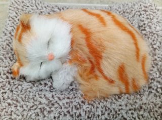 Pareja gatos sin y con sonido: Maúlla  (NUEVOS)